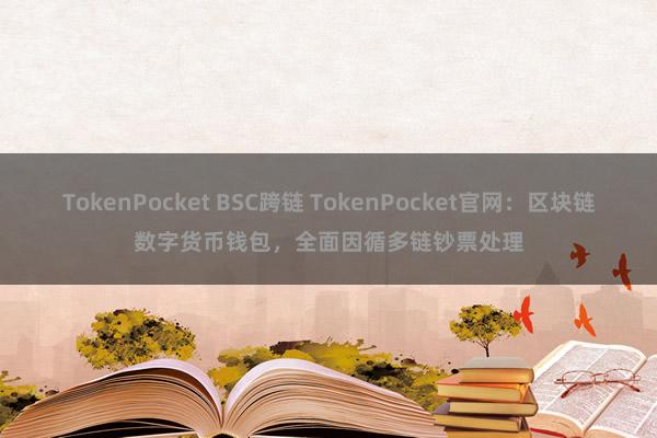 TokenPocket BSC跨链 TokenPocket官网：区块链数字货币钱包，全面因循多链钞票处理