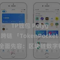 TP钱包 Polygon跨链 「TokenPocket App」全面先容：区块链数字钱包集成运用，安全措置及浅易交游，为用户带来全新数字金钱体验。