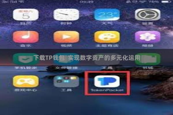 下载TP钱包  实现数字资产的多元化运用